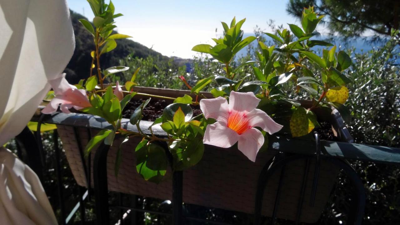 La Casa Dei Limoni Génova Exterior foto