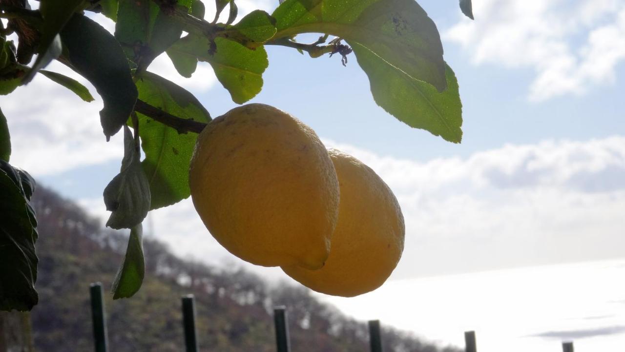 La Casa Dei Limoni Génova Exterior foto